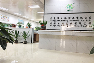 Dongguan Riteng Industry Co., Ltd.